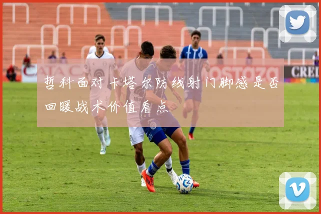 哲科面对卡塔尔防线射门脚感是否回暖战术价值看点