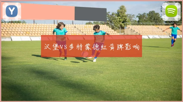 汉堡vs多特蒙德红黄牌影响
