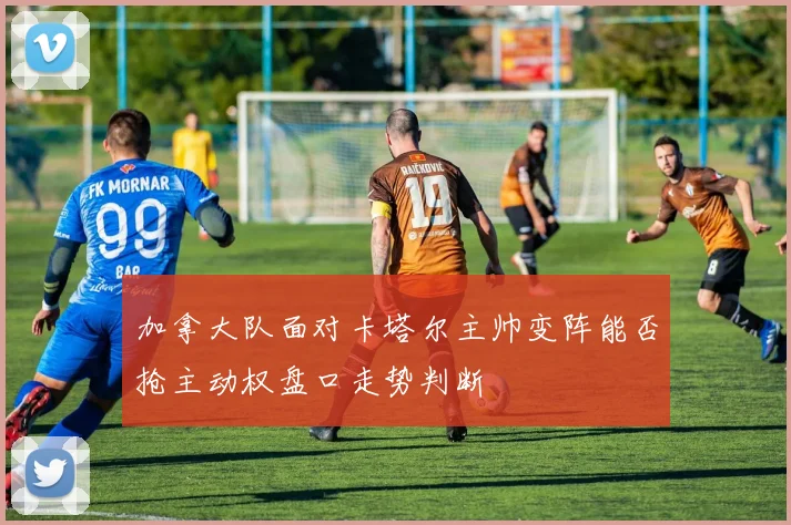 加拿大队面对卡塔尔主帅变阵能否抢主动权盘口走势判断