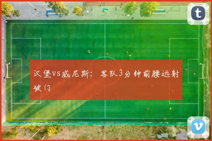 汉堡vs威尼斯：客队3分钟前腰远射破门